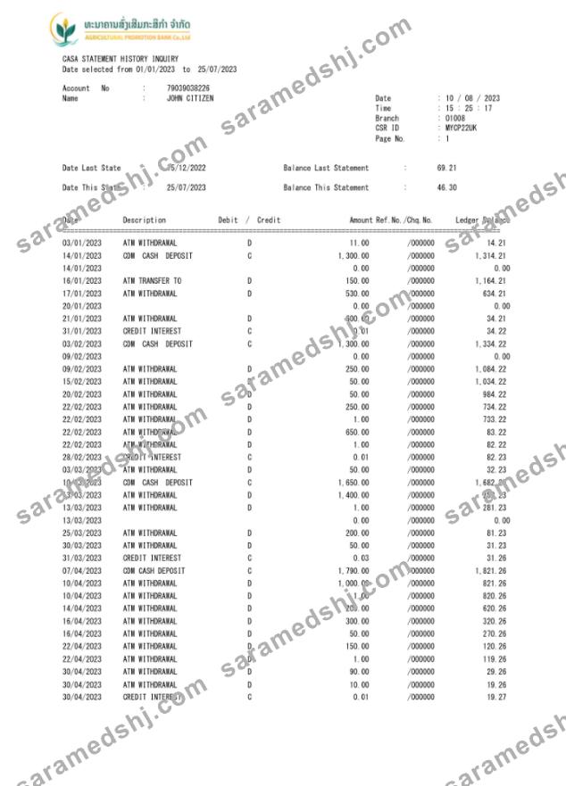Laos Agricultural Promotion Bank statement Word and PDF template, 3 pages scr